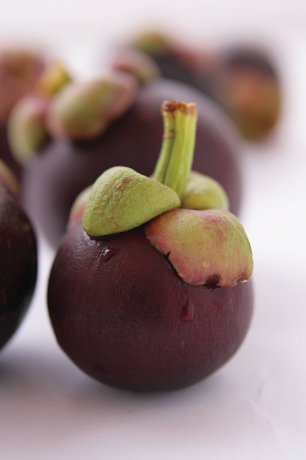 mangosteen-fruit-the-fruit-for-life-mangosteen