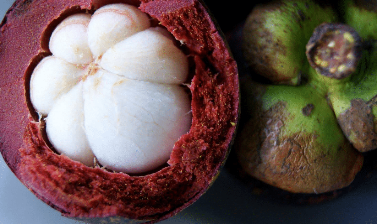 Mangosteen benefits try it for 90 days and find out.