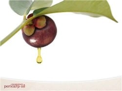 Green Technology Brings Out Mangosteen Oil from Zija International