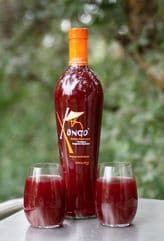 XanGo Juice Try 30 mLs With Each Meal